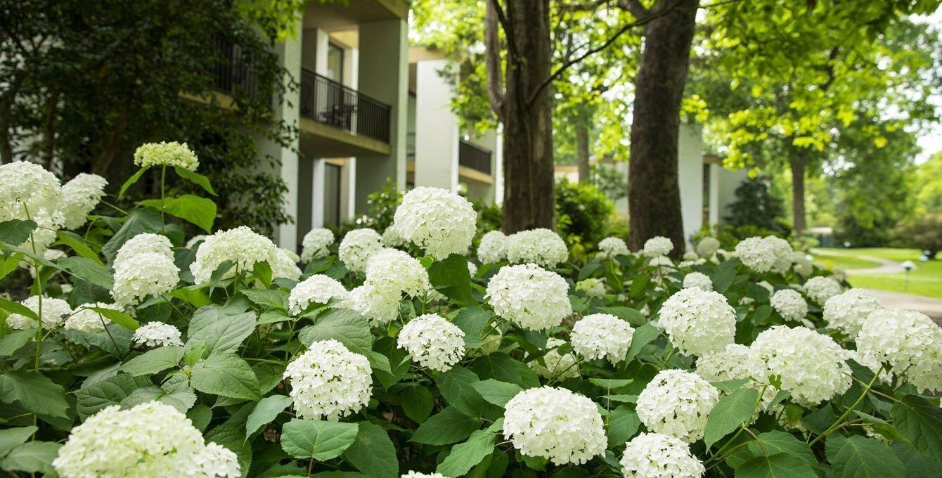 Griffin Hotel, An Official Colonial Williamsburg Hotel Exterior foto